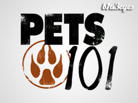 Pets 101 - (S01E01) Peculiar Pets Pet Pig, Hedgehog, Pygmy Goat, Capybara, Mini Donkey, Skunk 720p-A