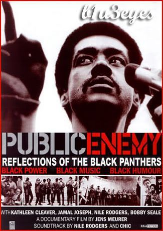 Public Enemy: Reflections of the Black Panther Party (1999)