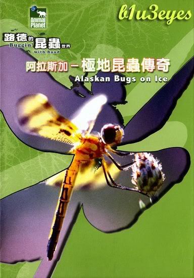 Buggin' with Ruud: Alaskan Bugs on Ice (2005)