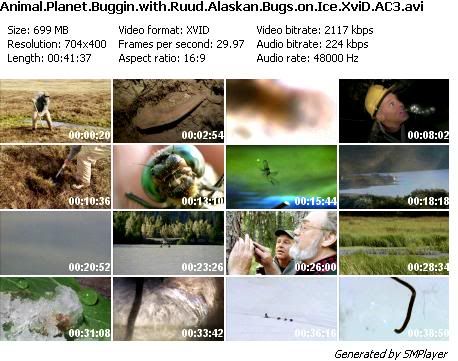 Buggin' with Ruud: Alaskan Bugs on Ice (2005)