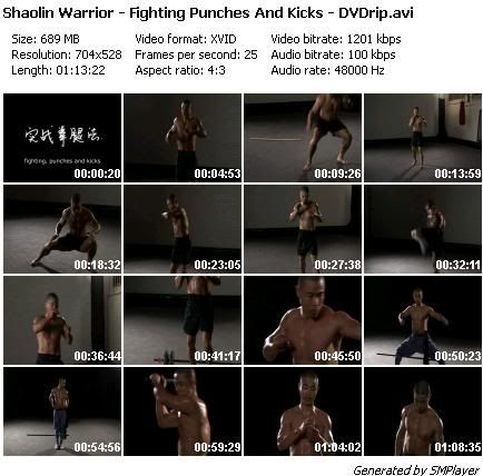 Shaolin Warrior - Fighting Punches And Kicks