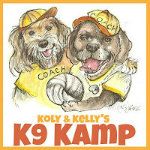 k9kamp canine fitness blog challenge