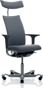 HAG H05 HagH055600 The Importance of Ergonomic Chair for Back Pain
