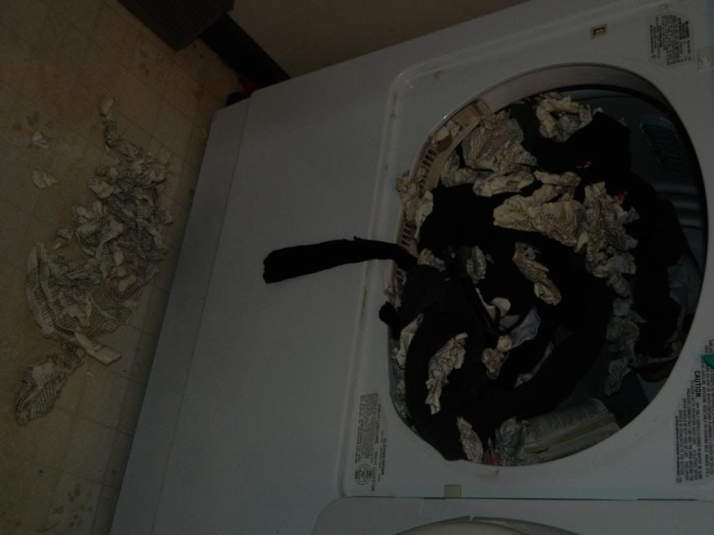 Book in a dryer photo 009-2.jpg