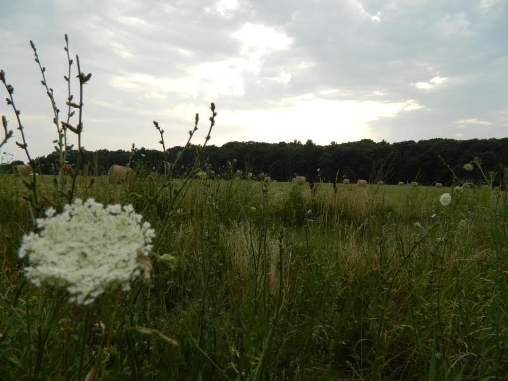 Riley Trails photo 095.jpg