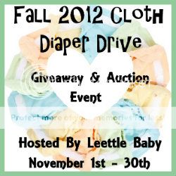 Fall 2012 Cloth Diaper Drive