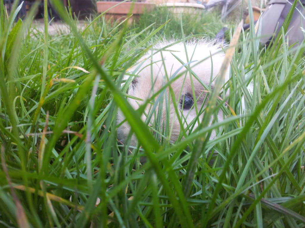20120325_175508.jpg