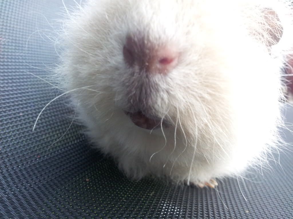 20120325_180439.jpg