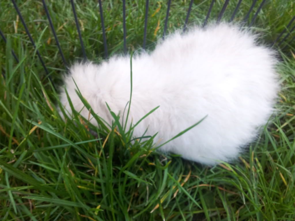 20120325_180931.jpg