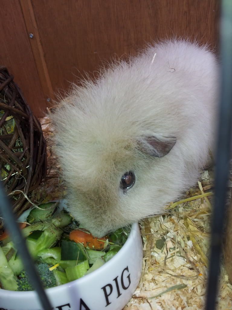 20120331_140107.jpg