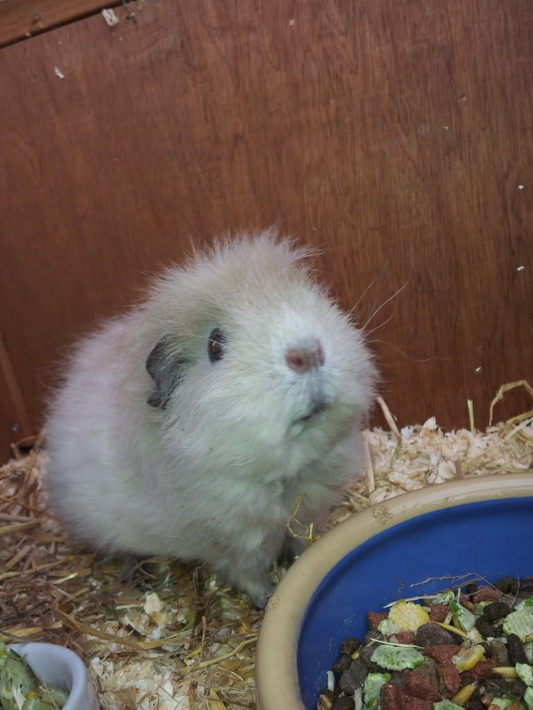 20120331_140154.jpg