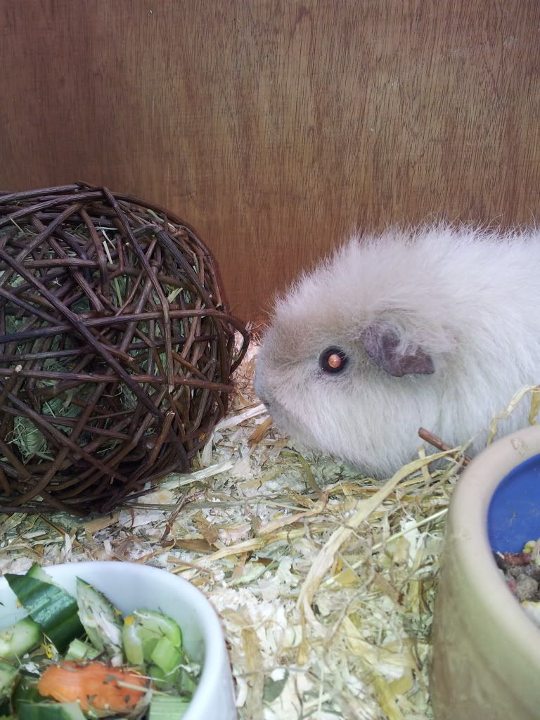 20120331_140743.jpg