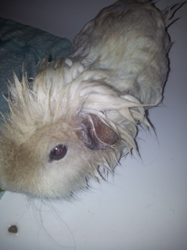 20120413_124036.jpg