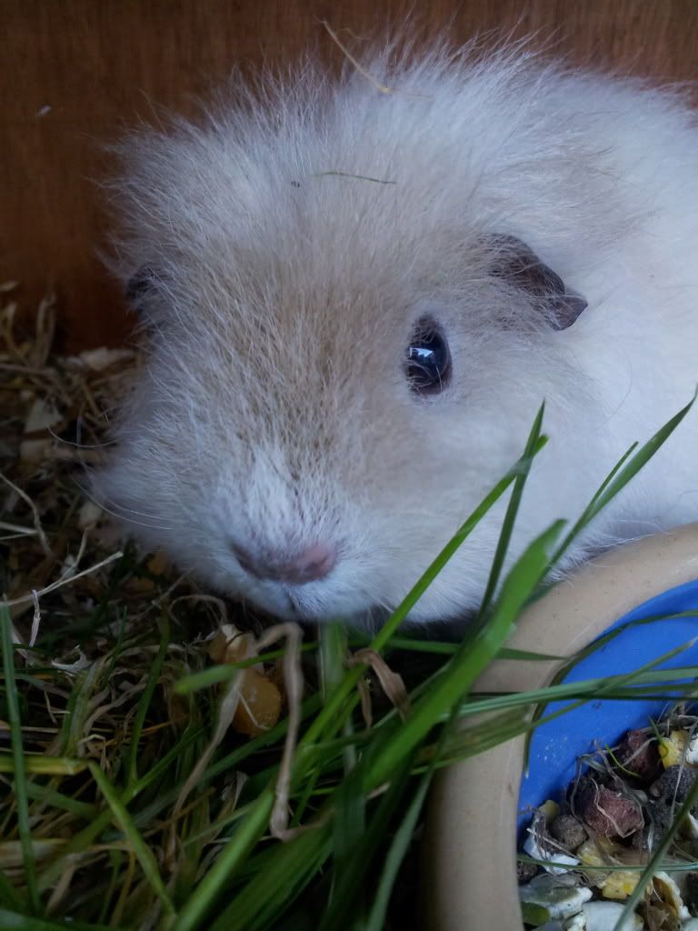 20120415_174950.jpg