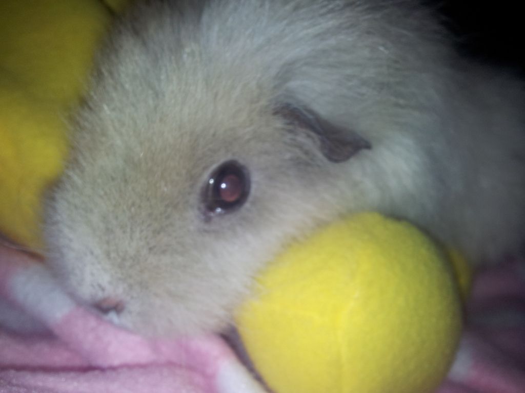 20120503_165359.jpg