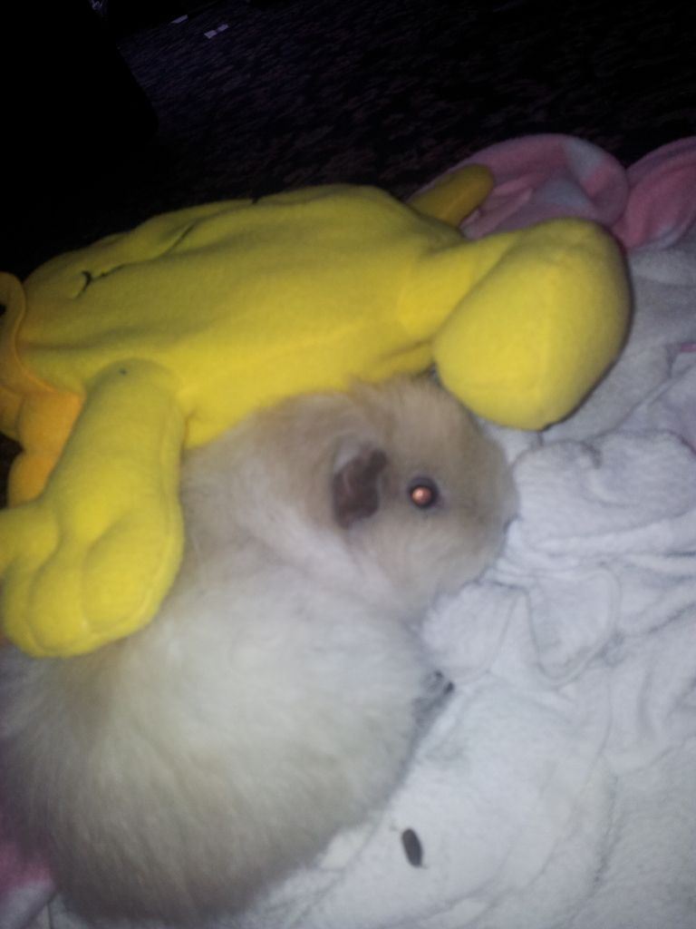 20120503_165524.jpg