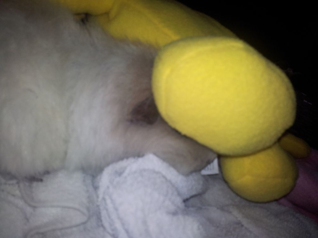 20120503_165551.jpg