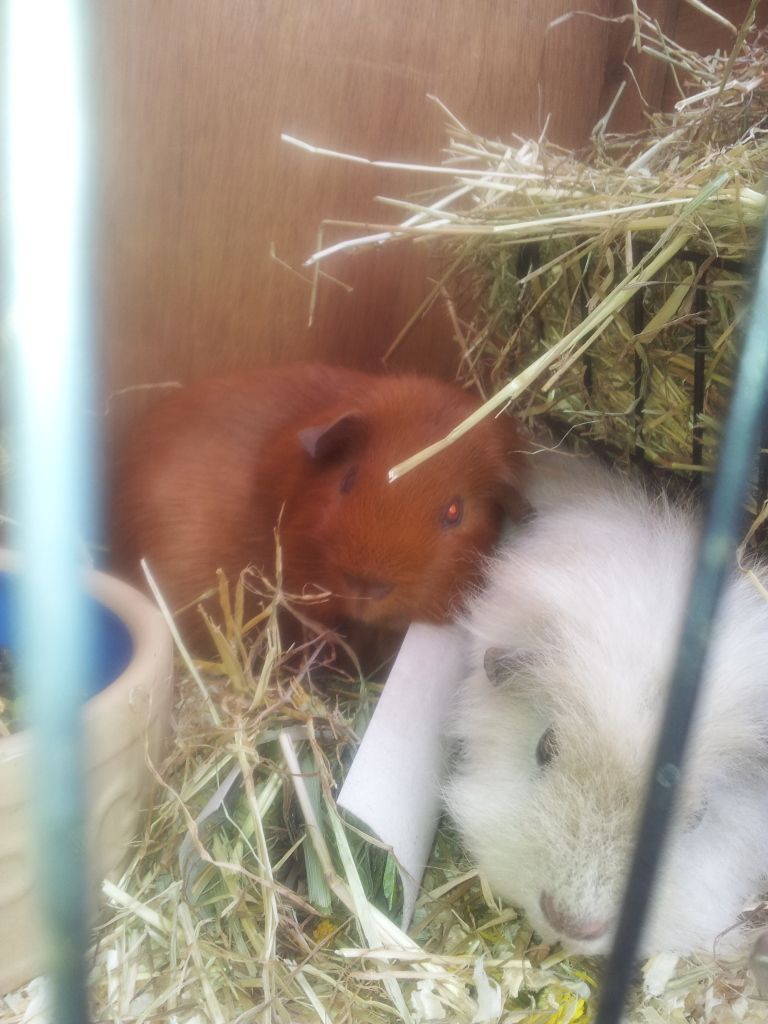 20120508_113747.jpg