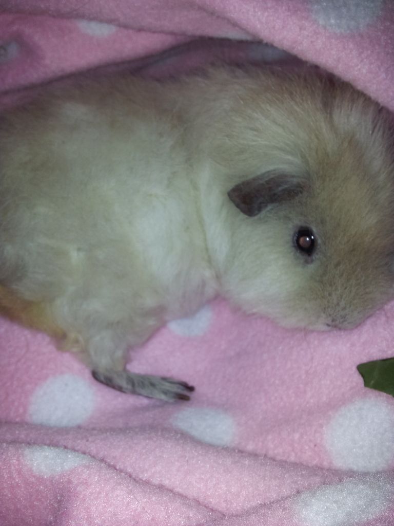 20120510_201532.jpg