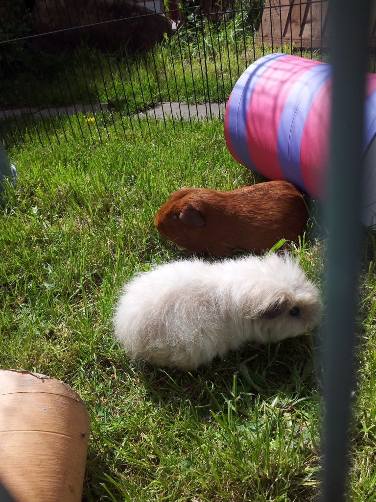 20120512_120149.jpg
