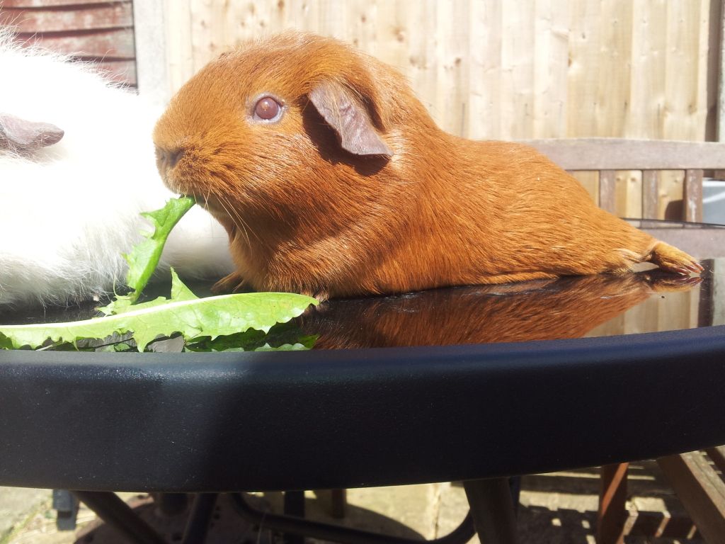 20120514_131508.jpg