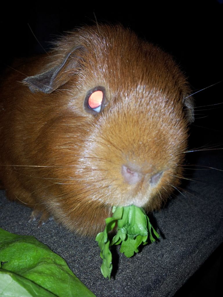 20120516_212433.jpg