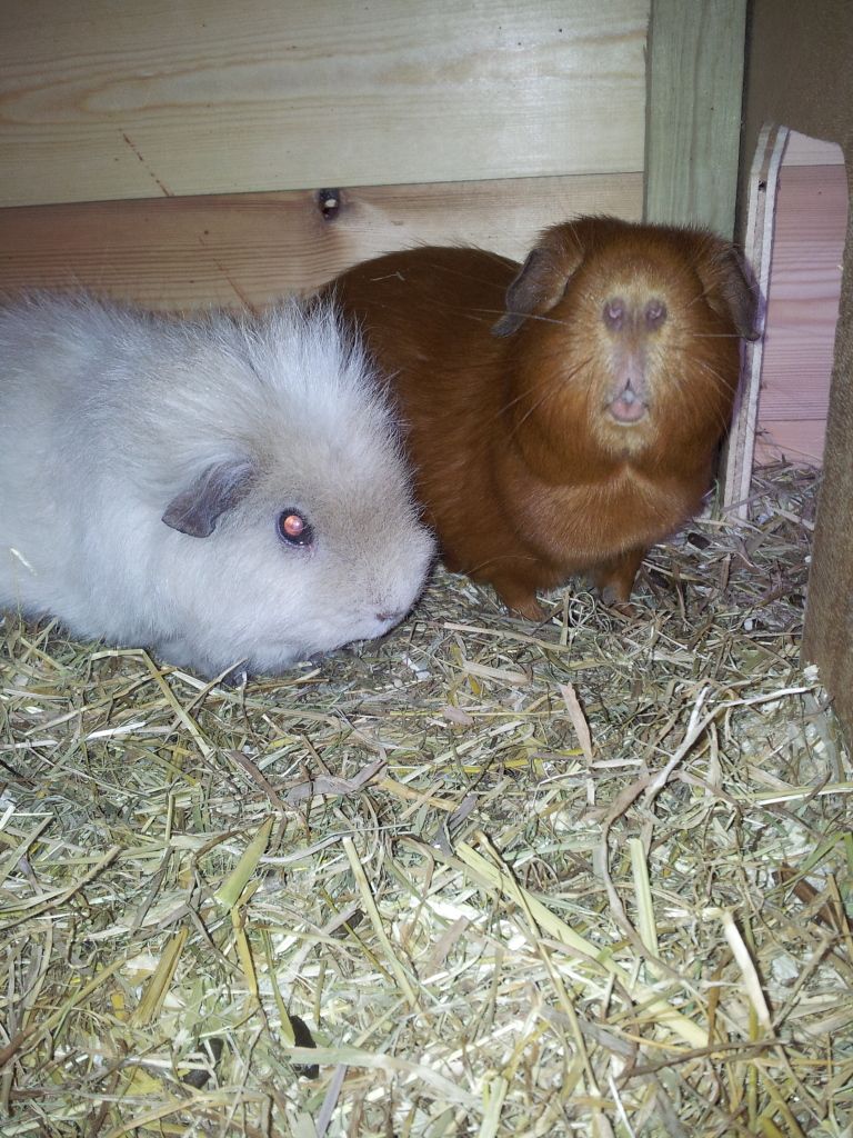 20120521_195614.jpg