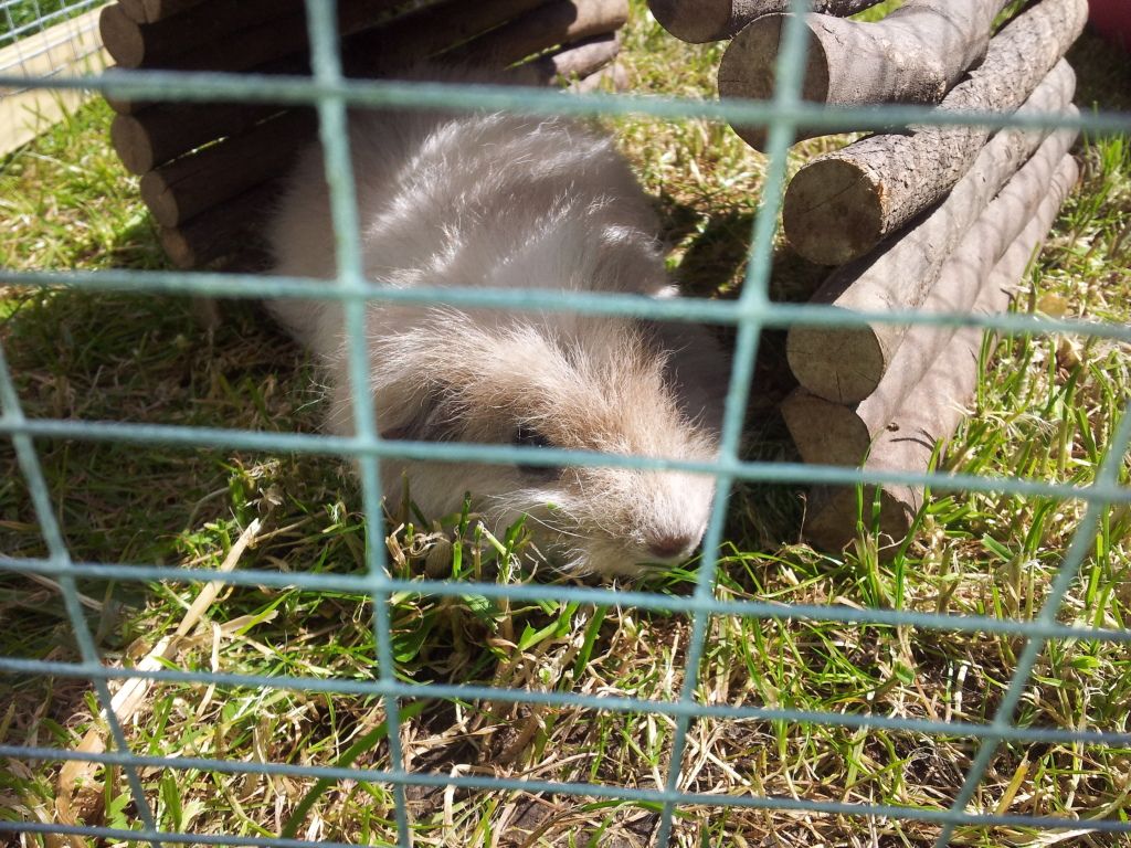 20120522_133924.jpg