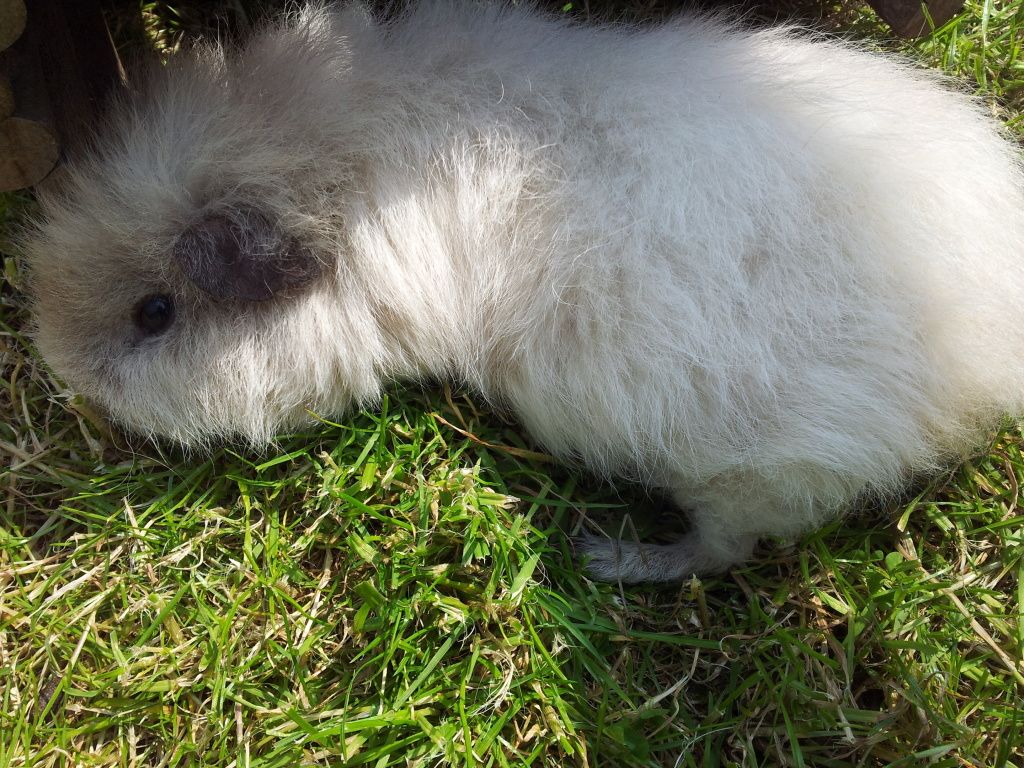 20120524_133644.jpg