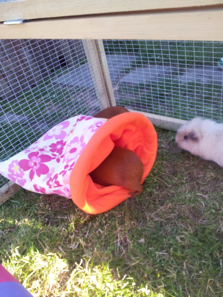 20120526_191501.jpg