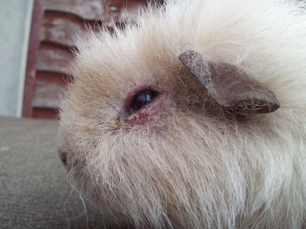 20120530_181510.jpg