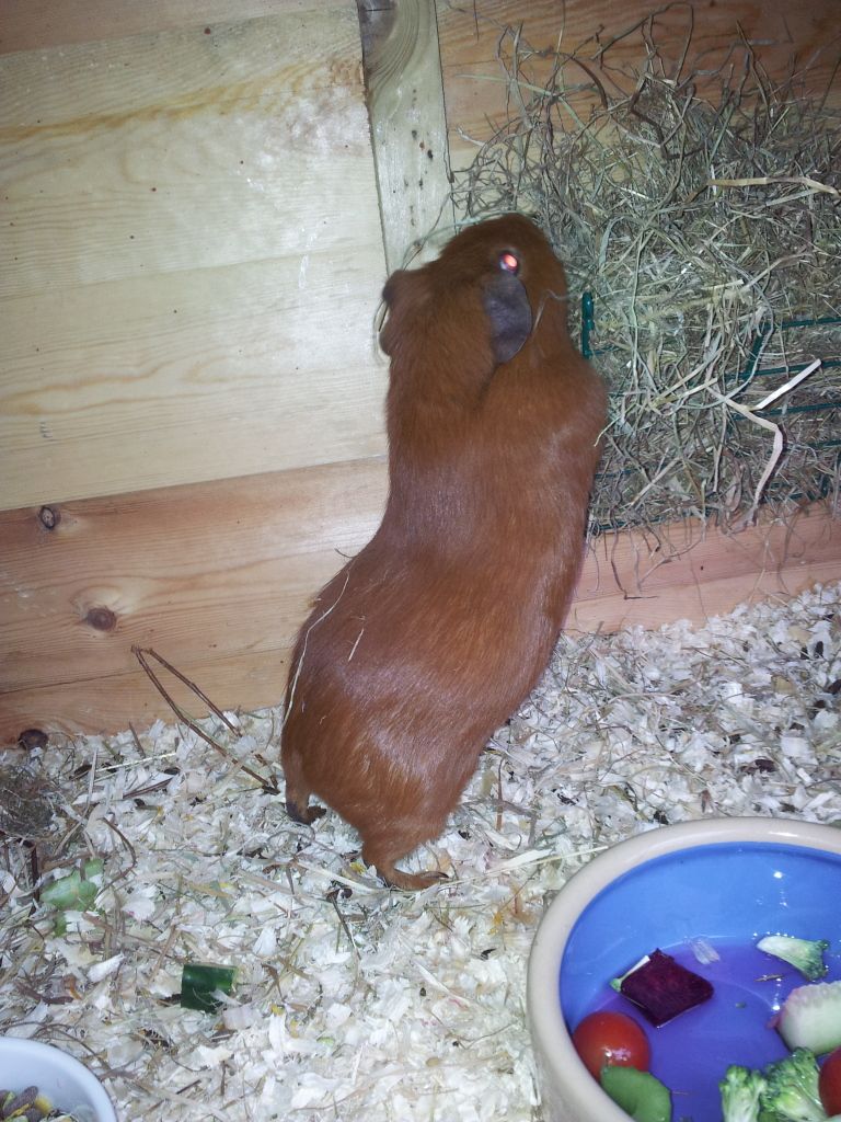 20120622_083208.jpg