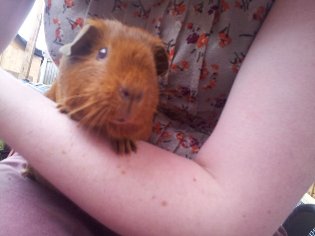 20120623_102843.jpg