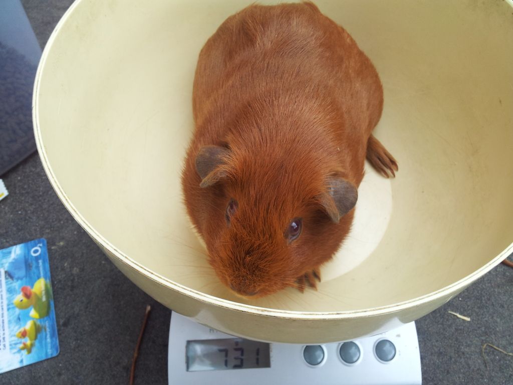 20120623_102901.jpg