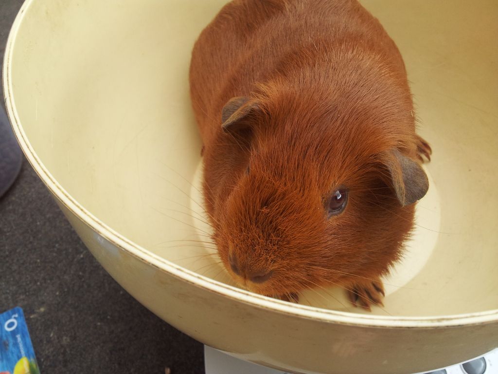 20120623_102909.jpg