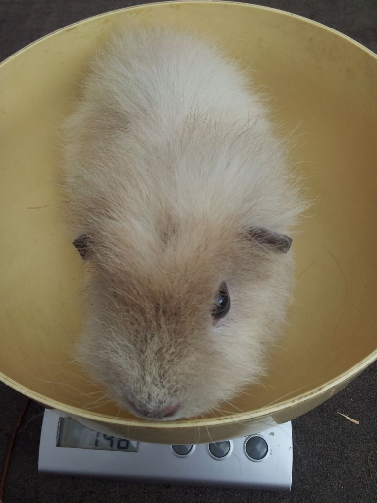 20120623_103013.jpg