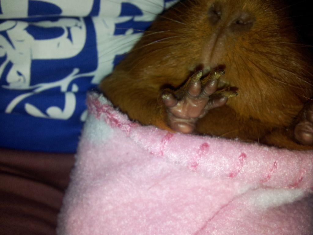 20120624_101932.jpg