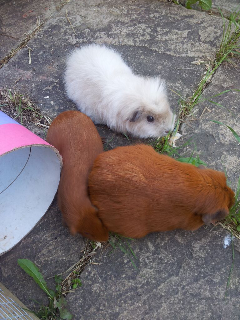 20120626_182735.jpg