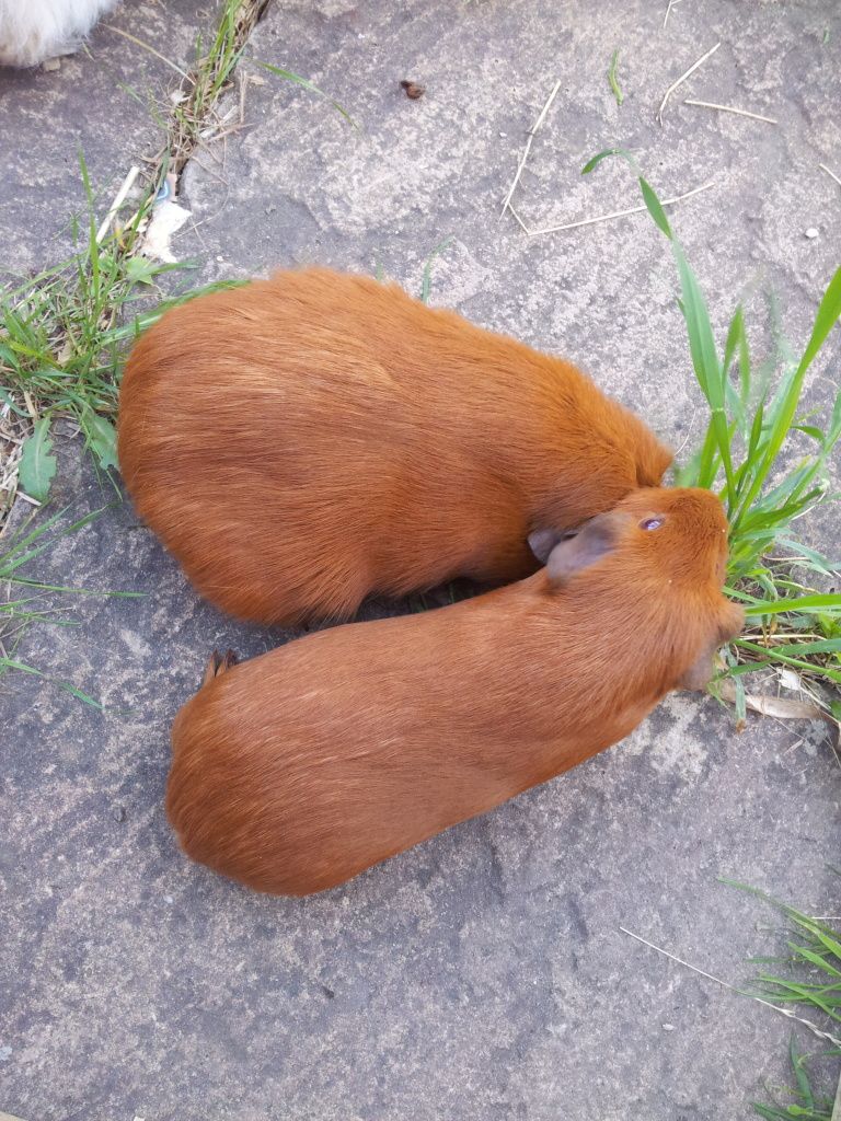 20120626_182749.jpg