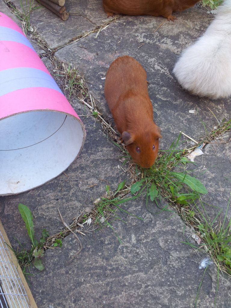 20120626_182834.jpg