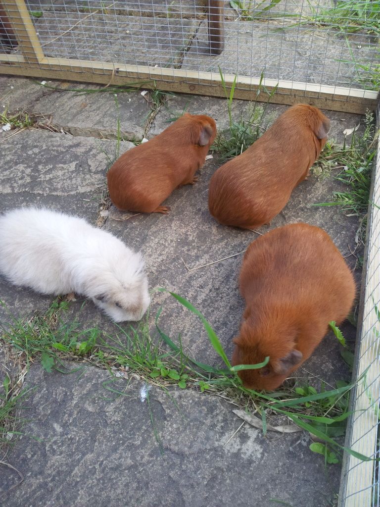 20120626_183026.jpg