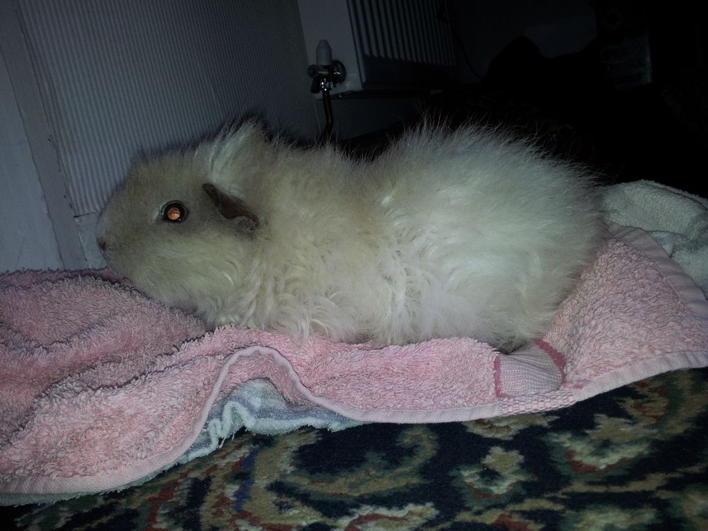 20120628_190830.jpg
