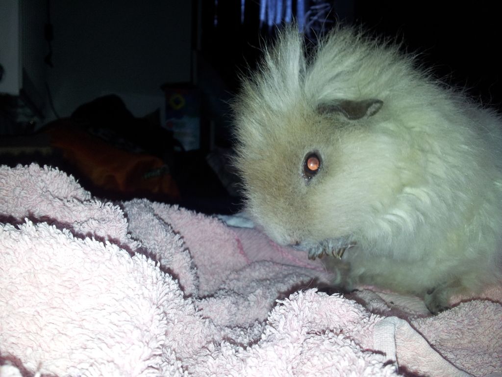 20120628_190932.jpg