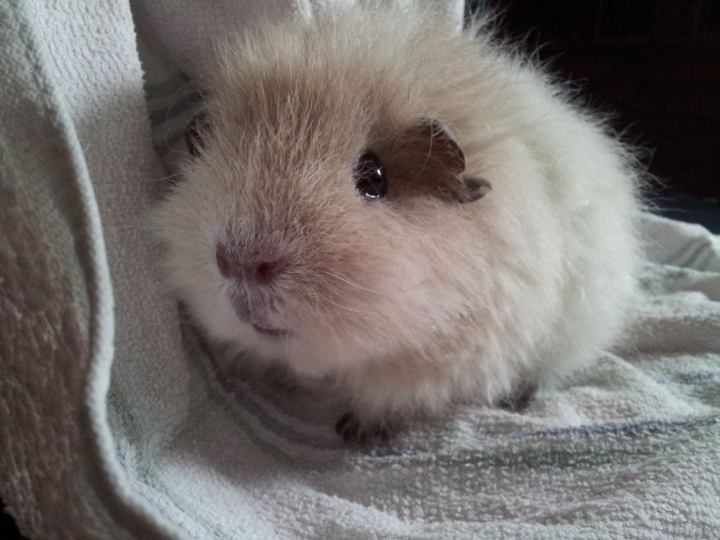 20120628_191523.jpg