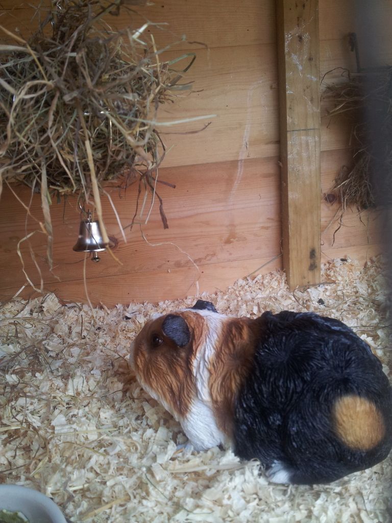 20120701_160015.jpg