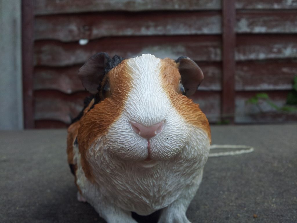 20120701_160142.jpg