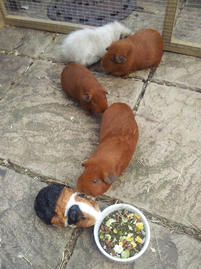 20120701_160341.jpg