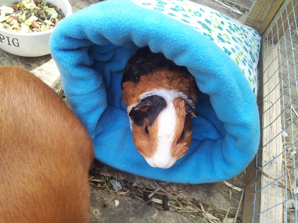 20120701_161251.jpg