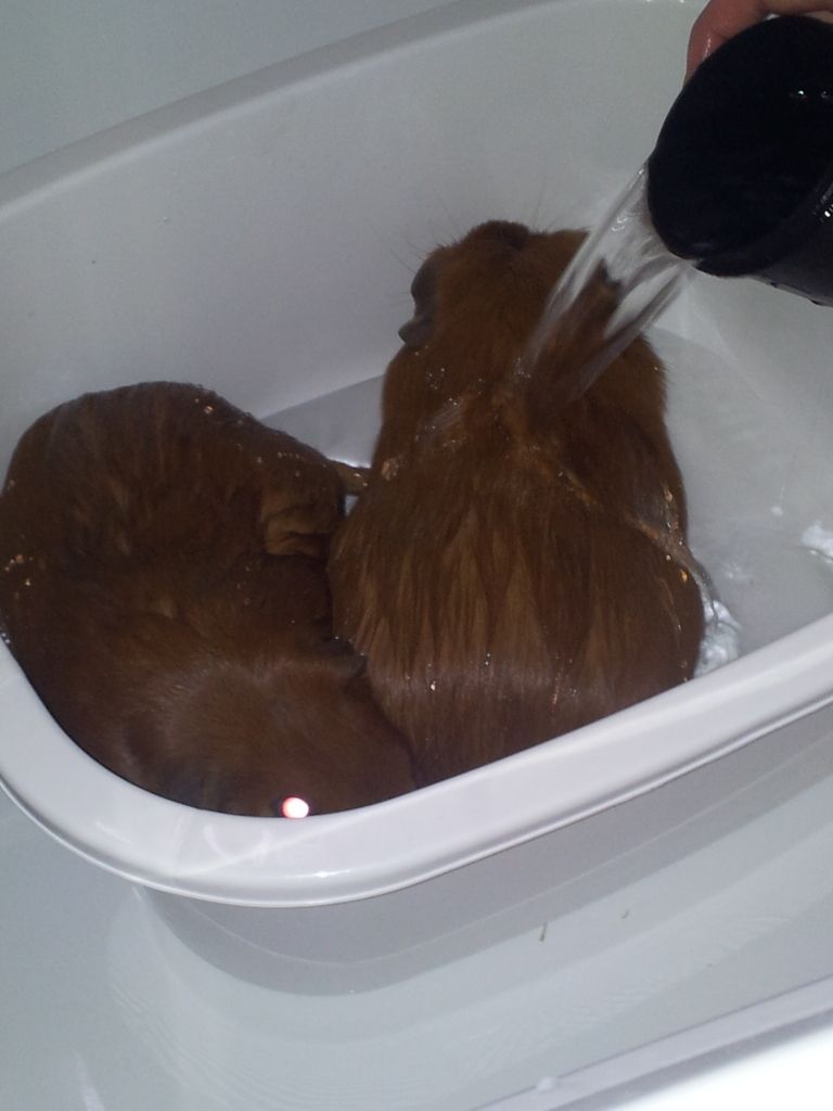 20120706_143412.jpg