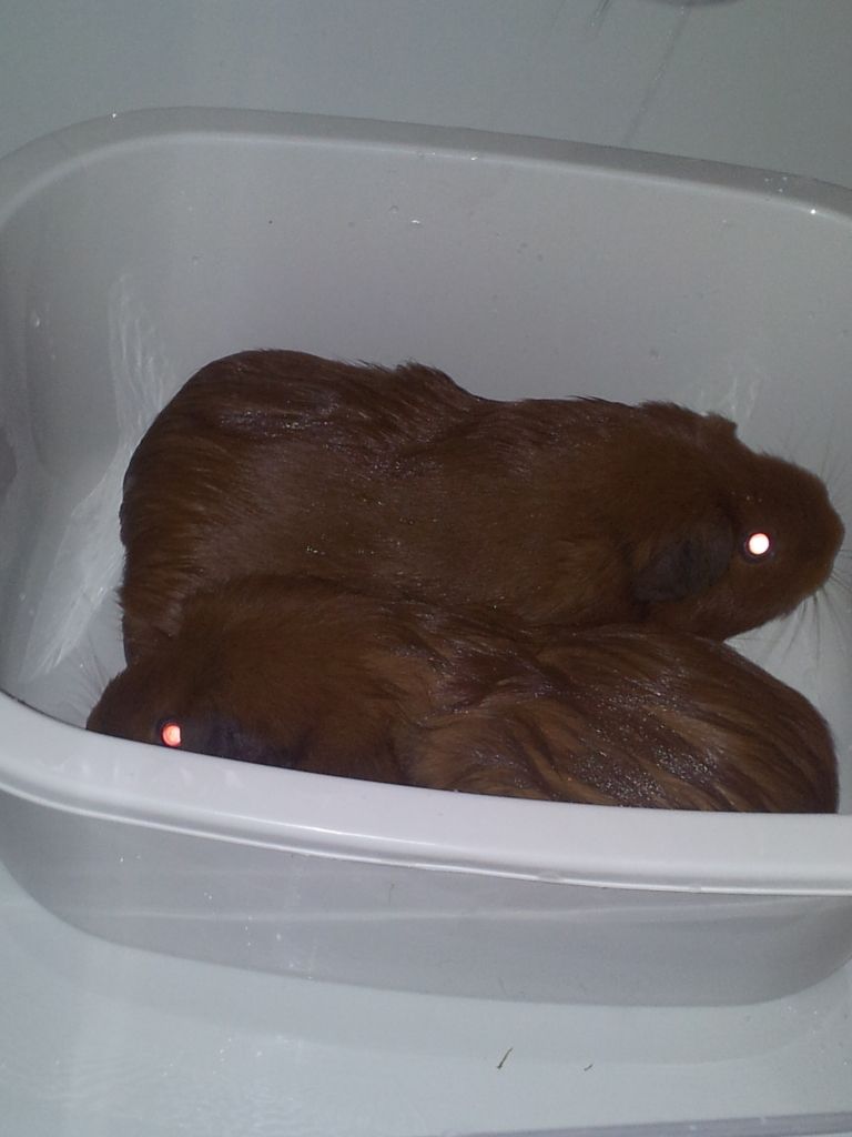 20120706_143444.jpg